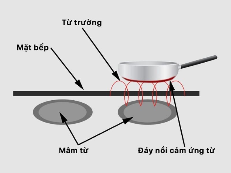  Bếp từ dựa trên dòng điện cảm ứng (Fuco) để làm nóng và chín thức ăn